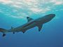 07Moorea - 04